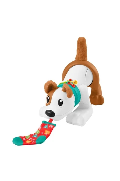 Fisher Price Eğitici Köpekçik
